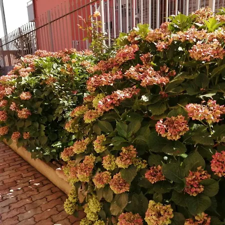 Apartament Casa Marina